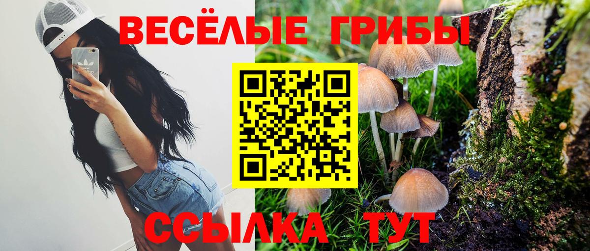 Галлюциногенные грибы ЛСД  Вход с VPN  Уссурийск  Псилоцибиновые грибы мухоморы 